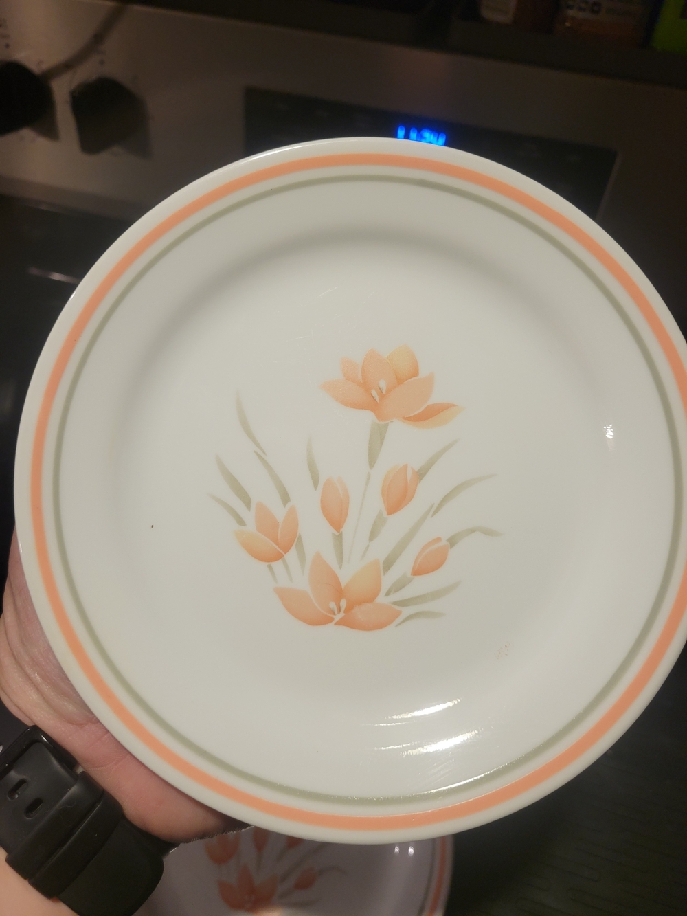 Corelle Peach Floral Dinner Plate Set Of 9
